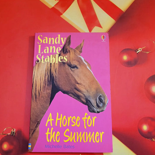 Sandy lane stables A Horse for the Summer preloved paperback excellent condition