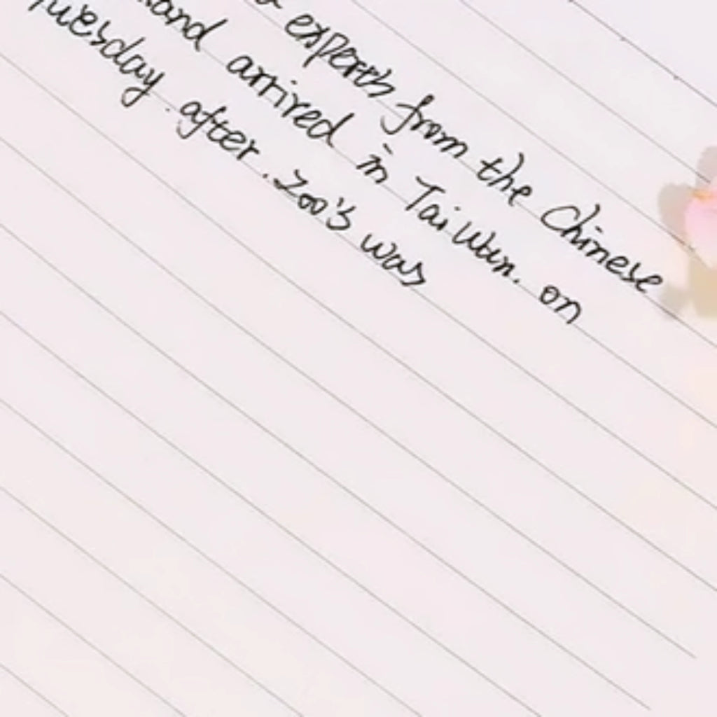 Morandi spiral Fancy notebook high quality random colour 1pc