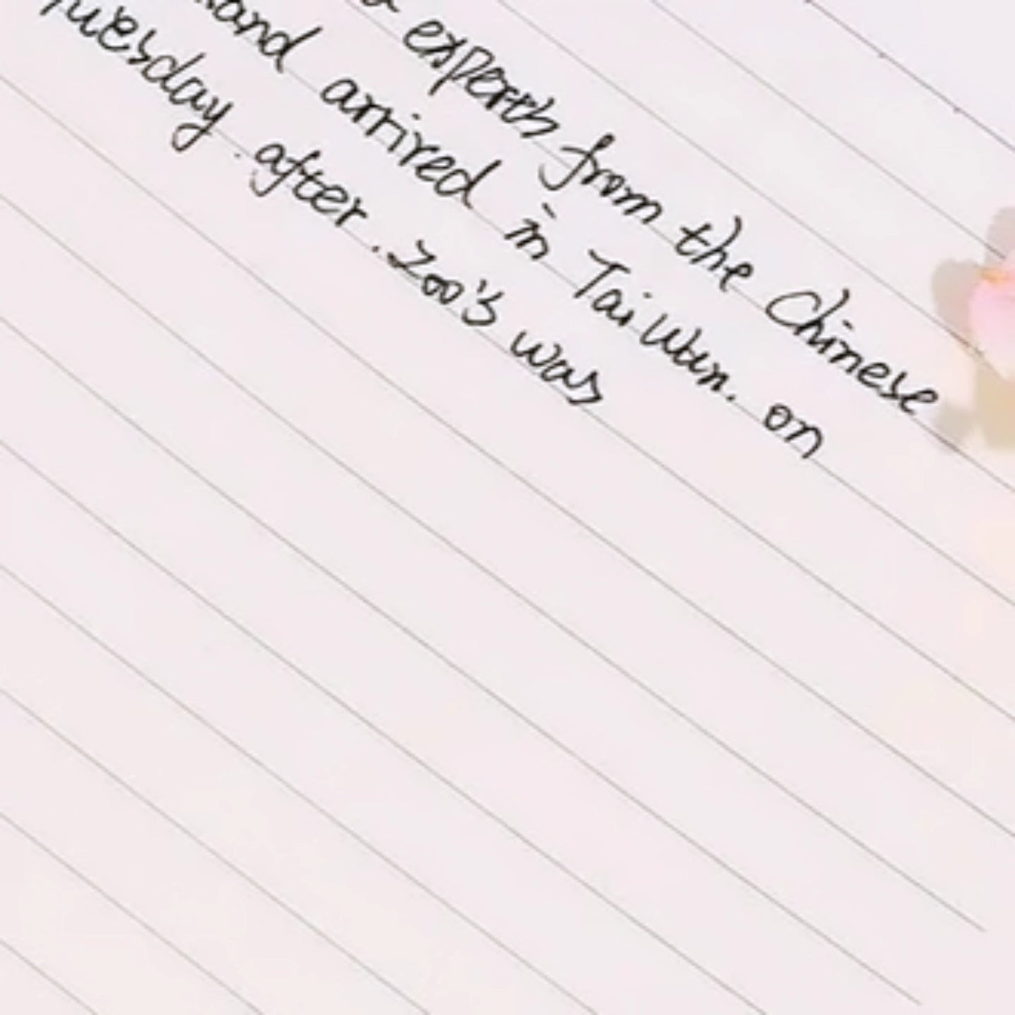 Morandi spiral Fancy notebook high quality random colour 1pc