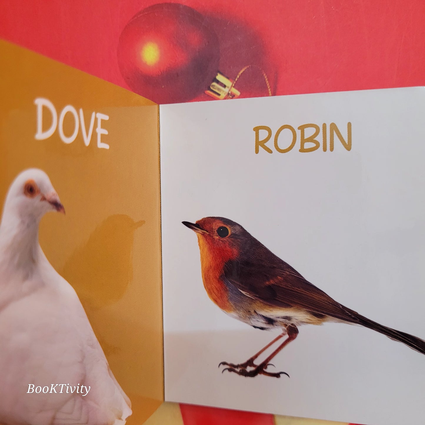 My First Learning Birds New Boardbook